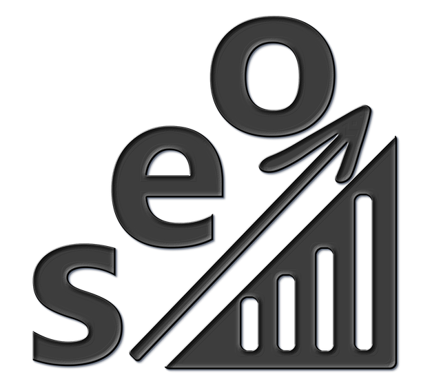 seo růst