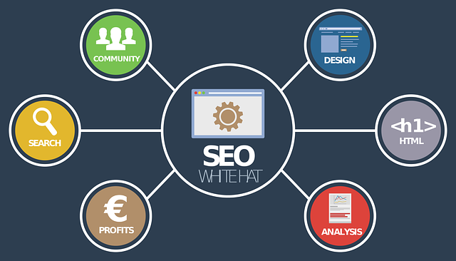 seo analýza.png